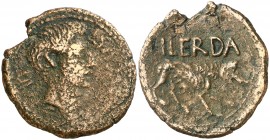 Octavio Augusto. Ilerda (Lleida). As. (FAB. 1488) (ACIP. 3199). 6,94 g. BC-/MBC.