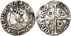 Alfons IV (1416-1458). Perpinyá. Croat. (Cru.V.S. 825.11) (Cru.C.G. 2868n). 3,06 g. MBC.