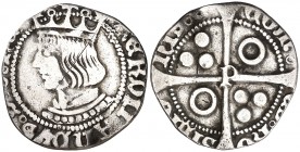 Ferran II (1479-1516). Perpinyà. Croat. (Cru.V.S. 1152) (Cru.C.G. 3072a) (AC. 73). Recortada. Rayas. Rara. 2,06 g. (MBC-).
