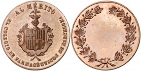 (c. 1860). Barcelona. Colegio de Farmacéuticos. Medalla al mérito. (Cru.Medalles 593b). Golpecito. Bella. Rara. Bronce. 17,04 g. Ø35 mm. EBC+.