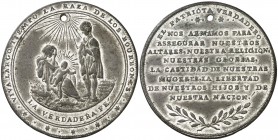 s/d (1794). Fernando VII. (Ruiz Trapero 317 var, adornos margen) (V. 198). Medalla patriótica. Perforación. Bella. Metal blanco. 15,50 g. Ø41 mm. EBC....