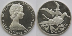 Isole Vergini. Dollaro 1974. Ag 925.
