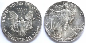 USA. Dollaro 1987. Oncia. Ag.