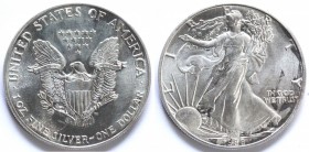 USA. Dollaro 1988. Oncia. Ag.