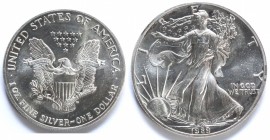 USA. Dollaro 1989. Oncia. Ag.