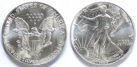 USA. Dollaro 1990. Oncia. Ag. FDC.