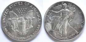 USA. Dollaro 1992. Oncia. Ag.