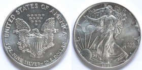 USA. Dollaro 1993. Oncia. Ag.
