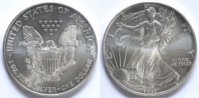 USA. Dollaro 1995. Oncia. Ag.