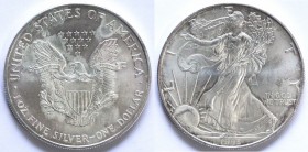 USA. Dollaro 1996. Oncia. Ag.