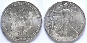 USA. Dollaro 2004. Oncia. Ag.
