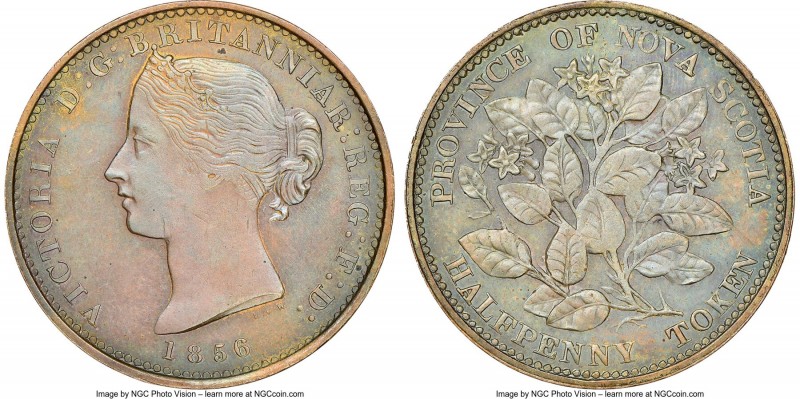 Nova Scotia. Victoria bronze Specimen "Mayflower" 1/2 Penny Token 1856 SP62 Brow...