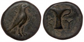 AEOLIS. Kyme. AE17 (Circa 350-250 BC).unknown magistrate.
Obv: illegible magistrate, Eagle standing right.
Rev: KY One-handled cup left.
Cf.: SNG Cope...