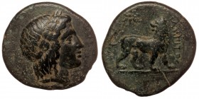 Ionia, Miletos. ca. 350-300 B.C. AE
Laureate head of Apollo right
Rev: lion standing right, looking back; star above.
Uncertain magistrate.
3.35 gr. 1...