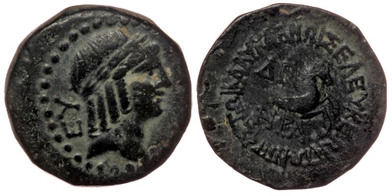 CILICIA. Seleukeia. AE18 (2nd-1st centuries BC).
Obv: Laureate head of Apollo ri...