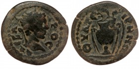 LYDIA Thyatira, Severus Alexander (222-235)ae
Obverse: ΑΛƐΞΑΝΔΡΟϹ; laureate head of Severus Alexander, r.
Reverse: ΘΥΑΤƐΙΡΗΝΩΝ; amphora with two palm ...