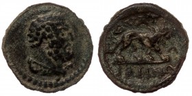 Lydia, Magnesia on the Sipylos. Pseudo-autonomous issue. 3rd century A.D. AE.
Bare head of Hercules right, wearing lion-skin around neck.
Rev: MAΓN - ...