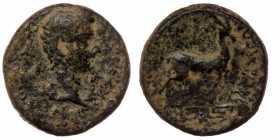 Phrygia. Apameia . Germanicus AD 37-41. AE
bare head right
Rev: stag standing right on maeander pattern.
RPC I 3134.
3,36 gr. 15 mm