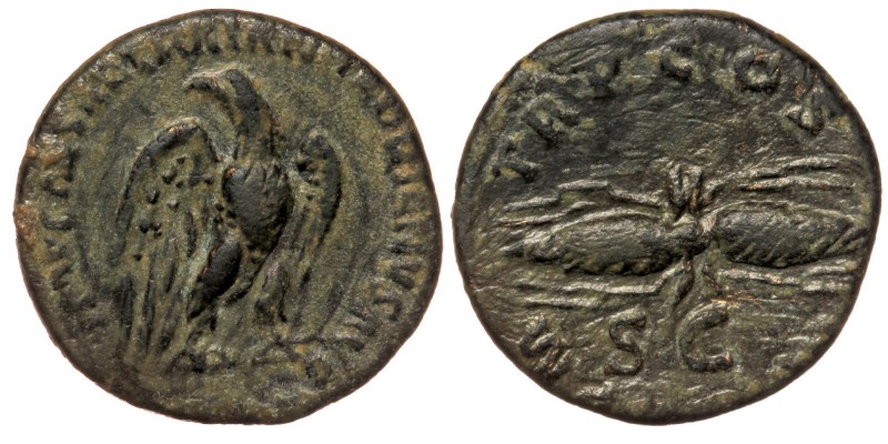 Hadrian (117-138), Quadrans, Rome, AD 121-122 AE
MP CAESAR TRAIAN - HADRIANVS AV...