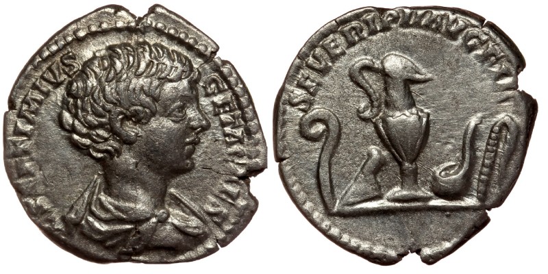 Geta, as Caesar, AR Denarius. Rome, AD 203.
bare headed and draped bust right
Re...