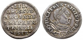 Sigismund I the Old, 3 groschen 1532, Thorn R3/R4