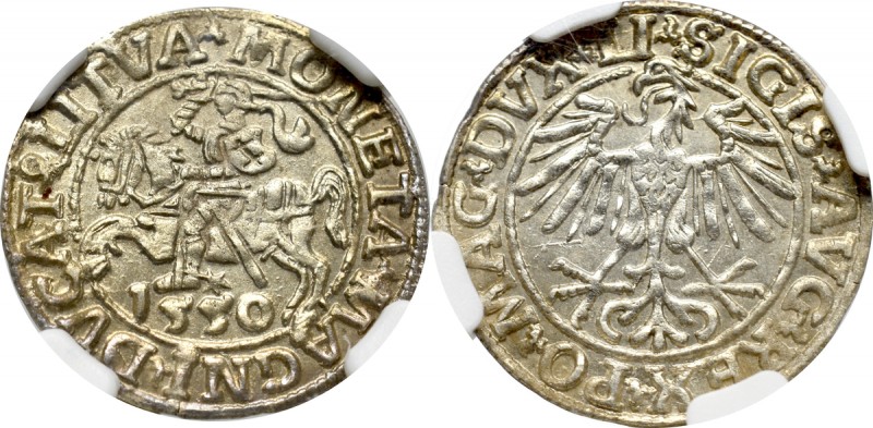 Sigismund II Augustus, Halfgroat 1550, Vilnius - LI/LITVA NGC MS62 Menniczy egze...
