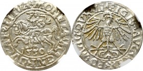 Sigismund II Augustus, Halfgroat 1550, Vilnius - LI/LITVA NGC MS62