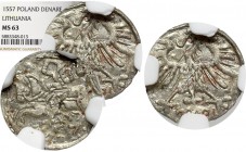Sigismund II Augustus, 1-denar 1557, Vilnius - NGC MS63 MAX R3