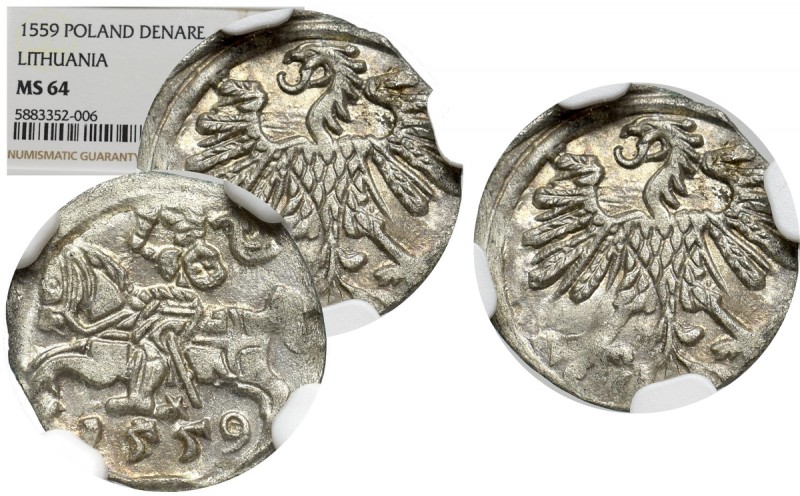 Sigismund II Augustus, 1-denar 1559, Vilnius - NGC MS64 Piękny, menniczy egzempl...
