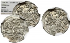 Sigismund II Augustus, 1-denar 1559, Vilnius - NGC MS64 MAX R3