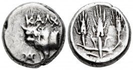 Bithynia. Kalchedon. Hemidrachm. 366-340 BC. (Sng Cop-354). (Sng Black Sea-110). Anv.: Forepart of a bull left, KALX above; pentagram before. Rev.: Th...