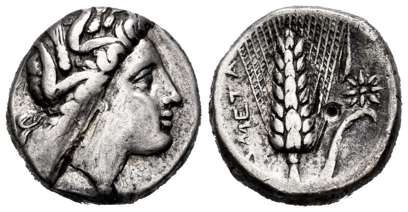 Lucania. Metapontion. Stater. 330-290 BC. Ly- magistrate. (HN Italy-1592). (Cy-4...