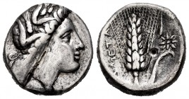 Lucania. Metapontion. Stater. 330-290 BC. Ly- magistrate. (HN Italy-1592). (Cy-421). Anv.: Wreathed head of Demeter to right, wearing triple-pendant e...