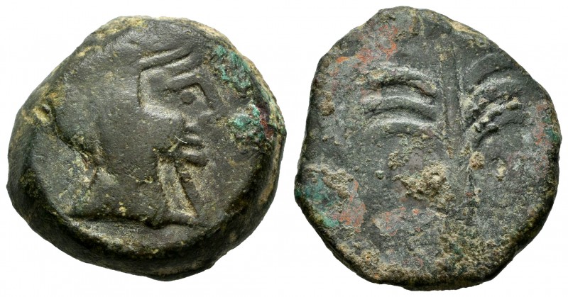 Baria. Calco. 200-100 BC. Villaricos (Almería). (Abh-213). Anv.: Head of Heracle...