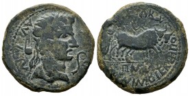 Caesaraugusta. Augustus period. Unit. 27 BC - 14 AD. Zaragoza. (Abh-322). Anv.: AVGVSTVS. DIVI. F. Laureate head of Augustus right, lituus and simpulu...