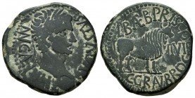 Calagurris. Augustus period. Unit. 27 BC - 14 AD. Calahorra (La Rioja). (Abh-416). (Acip-3122). Anv.: MVN. CL. IVLIA. AVGVSTVS. Laureate head of Augus...