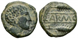 Carmo. Half unit. 80 BC. Carmona (Sevilla). (Abh-463). Anv.: Male head right, dolphin behind. Rev.: Two ears of corn left, legend KARMO. Ae. 10,78 g. ...