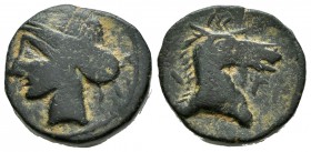 Hispanic-Carthaginian Coinage. Calco. 220-215 BC. Cartagena (Murcia). (Abh-511). (Acip-578). (C-38). Anv.: Head of Tanit left. Rev.: Head of horse rig...