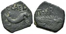 Carthage Nova. Half unit. 50-30 BC. Cartagena (Murcia). (Abh-570). (Acip-2526). (C-2). Anv.: Dolphin right, C.CAEDI above, T. POPILLI below. Rev.: Pal...