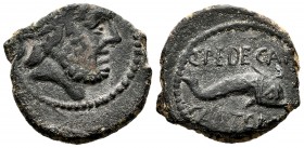 Carteia. Half unit. 80-20 BC. San Roque (Cadiz). (Abh-645). (Acip-2564). Anv.: Jupiter's head right. Rev.: Dolphin on the right, above Q. PEDECAI, bel...