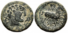 Tabaniu. Unit. 120-20 BC. Area of Aragon. (Abh-884). (Acip-1065). Anv.: Male head to right, in front of dolphin, behind DABA. Rev.: Rider with spear t...