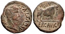 Erkauika- Ercavica. Unit. 27 BC -12 AD. Cañaveruelas (Cuenca). (Abh-1277). (Acip-3186). Rev.: Bull standing right, over MVN, under ERCAVICA. Ae. 12,32...
