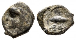 Gades. 1/4 calco. 200-100 BC. Cadiz. (Abh-1323). Anv.: Melkart head left with lion skin. Rev.: Tuna left. Ae. 1,35 g. Very rare. Almost VF. Est...80,0...