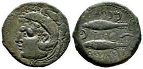 Gades. Unit. 100-20 BC. Cadiz. (Abh-1339). (Acip-665). Anv.: Head of Hercules left, club behind. Rev.: Two tunny left above and below, punic legends, ...