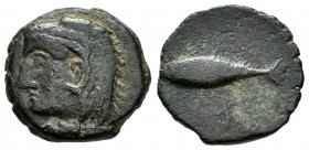Gades-Gadir. Half unit. 100-20 BC. Cadiz. (Abh-1346). (Acip-670). Anv.: Head of Hercules left. Rev.: Tunny left, punic legend above and below. Ae. 4,4...