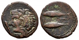 Gades-Gadir. Half unit. 100-20 BC. Cadiz. (Abh-1347). Anv.: Head of Hercules left, club before. Rev.: Two tunny left, punic legend above and below, cr...