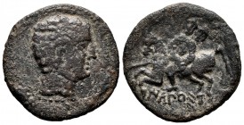 Ikalkusken. Unit. 120-20 BC. Iniesta (Cuenca). (Abh-1400). Anv.: Male head right, dolphin behind. Rev.: Horseman left, holding spear and round shied, ...