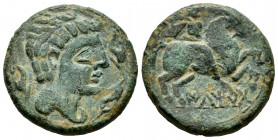 Iltirta. Unit. 220-200 BC. Lleida (Cataluña). (Abh-1465). (Acip-1261). Anv.: Male head to right, flanked by three dolphins. Rev.: Horseman to the righ...
