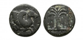 Bronze Æ
Troas, Skepsis, c. 400-300 BC. Pegasos Forepart Rhyton / Palm Σ -K
7 mm, 0,77 g