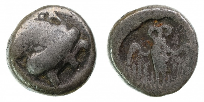 Drachm AR
Pontos, Amisos, c. 300-125BC
15 mm, 3,52 g